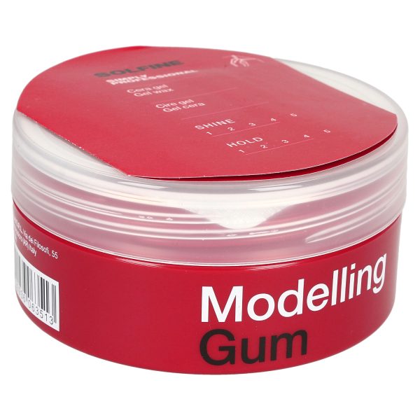 modelling_gum